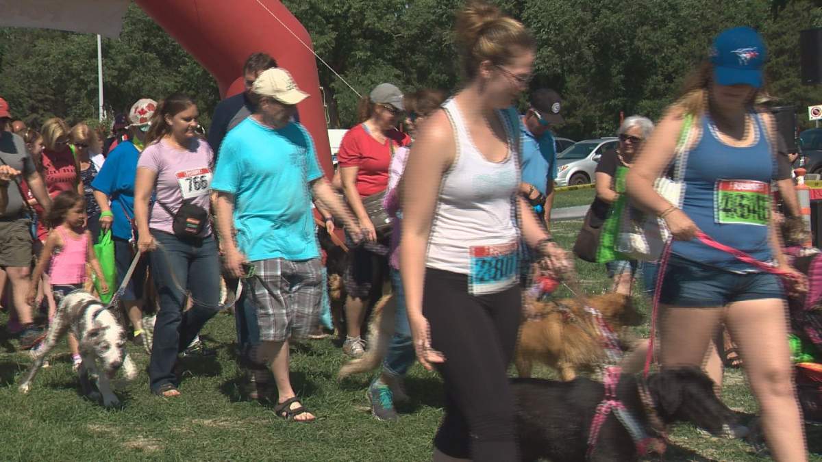 Pets in the Park celebrates 25th anniversary at Hawrelak Park.