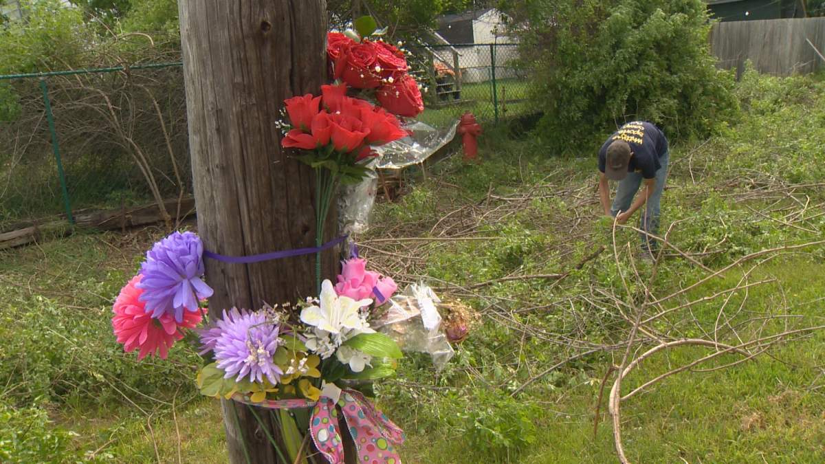 Tony Hubley can be seen trimming brush beside a memorial for Chelsie Probert in Dartmouth on Wednesday.