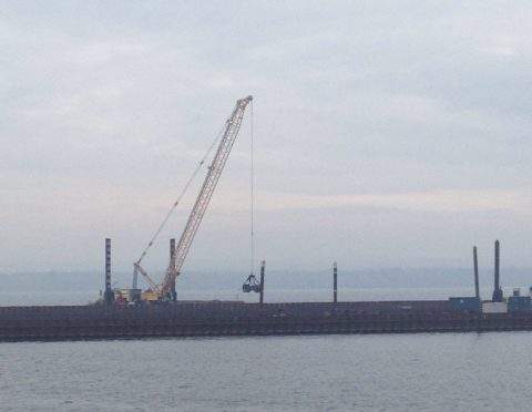 A proposed energy from waste project on Hamilton Harbour has been abandoned.