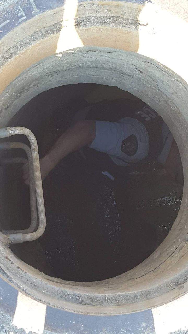 An RCMP member in Fort McMurray climbs into the sewer to rescue seven ducklings.