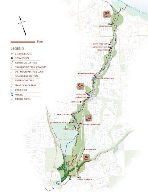 Hamilton police say man tried to grab female runner on Red Hill Trail - image