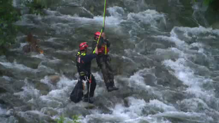 Firefighters conduct dramatic high rope rescue over Capilano River - image