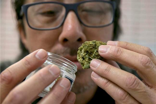 Joseph Hough, an employee at the Canna Care medical marijuana dispensary, displays a pre-packaged marijuana bud Wednesday, June 14, 2017, in Sacramento, Calif.