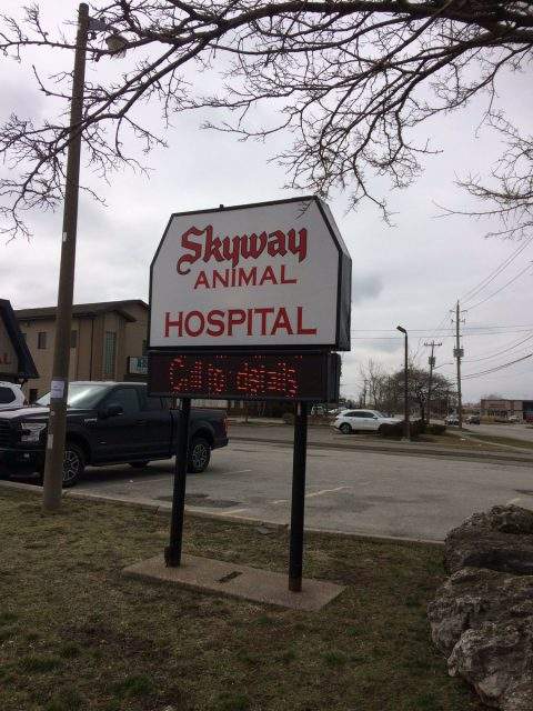 16 charges have been laid by the OSPCA, following an investigation into a St. Catharines vet.