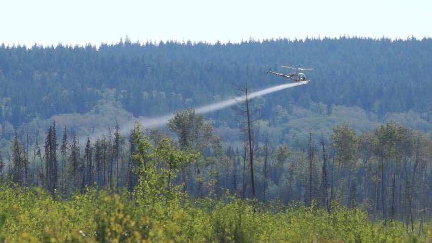 New Brunswick advocacy groups call for glyphosate ban following California decision - image