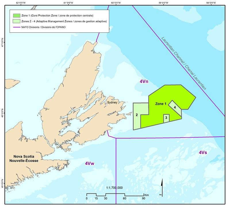The Marine Protected Area of St. Anns Bank is pictured. The MPA is split into a Core Protection Zone (Zone 1) and three Adaptive Management Zones.