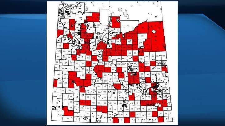 Wild boar population continues to spread across Saskatchewan - image