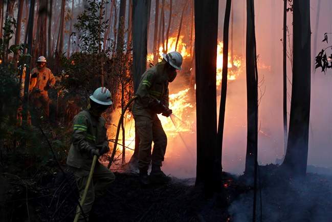 Firefighters of the Portuguese National Republican Guard work to stop a forest fire from reaching the village of Avelar, central Portugal, at sunrise Sunday, June 18 2017.