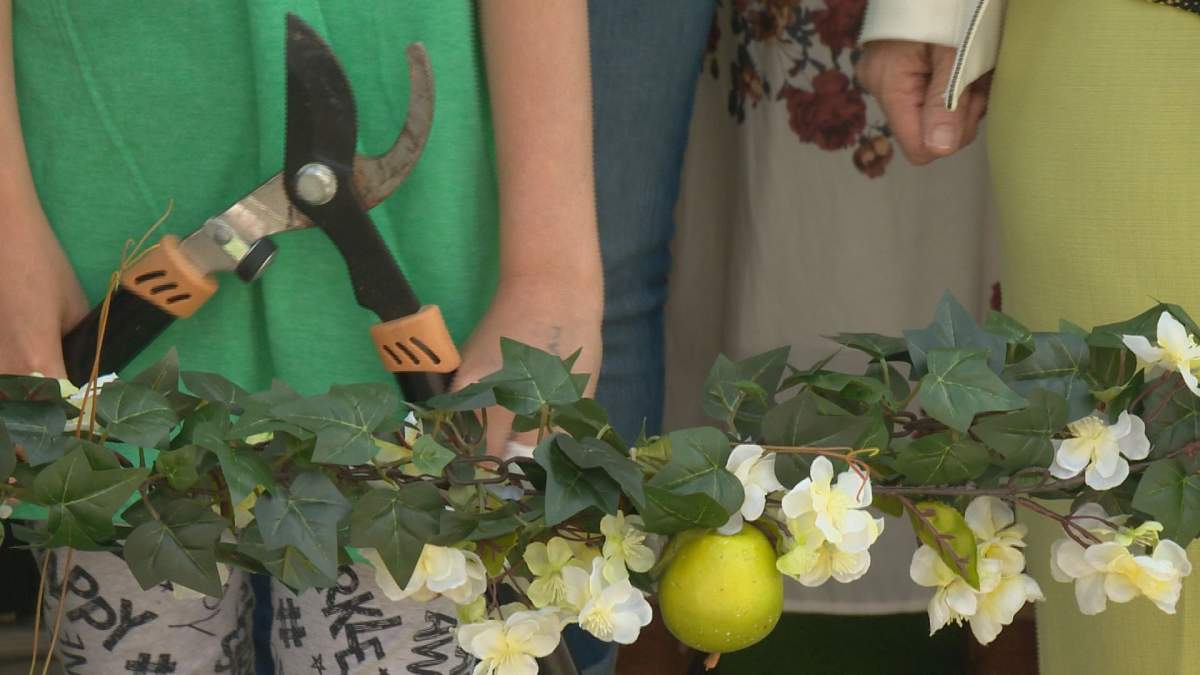 Saturday marked the official opening of the Community garden at the Alex Community Food Centre on International Avenue.  