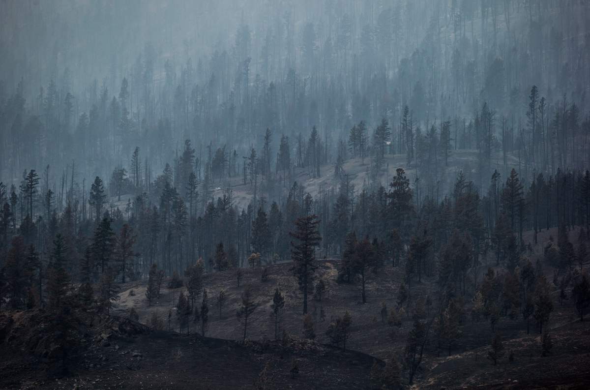 Smoke rises from trees burned by wildfire on a mountain near Ashcroft, B.C., on Monday, July 10, 2017. More than 200 wildfires are burning in the province and an estimated 14,000 people have been evacuated from their homes. THE CANADIAN PRESS/Darryl Dyck