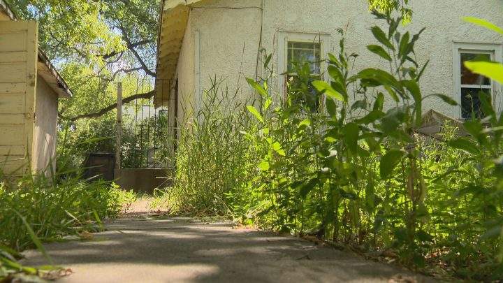 Saskatoon woman sick and tired of living next to abandoned house - image