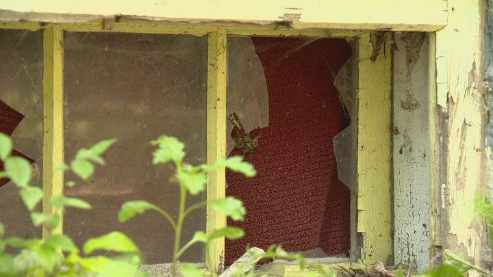Saskatoon woman sick and tired of living next to abandoned house - image