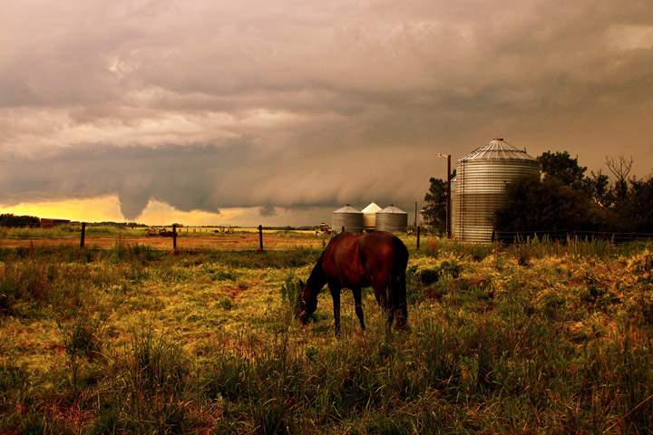 Marlee Clarke took this Aug. 1 Your Saskatchewan photo of a tornado touching down near Quill Lake on July 21.