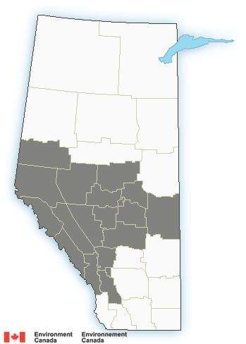 An air quality advisory has been issued for much of central and southern Alberta.