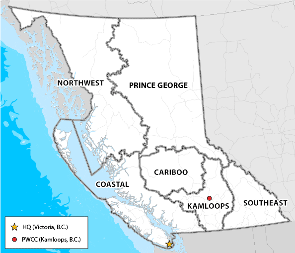 Campfires now banned throughout much of B.C. - image