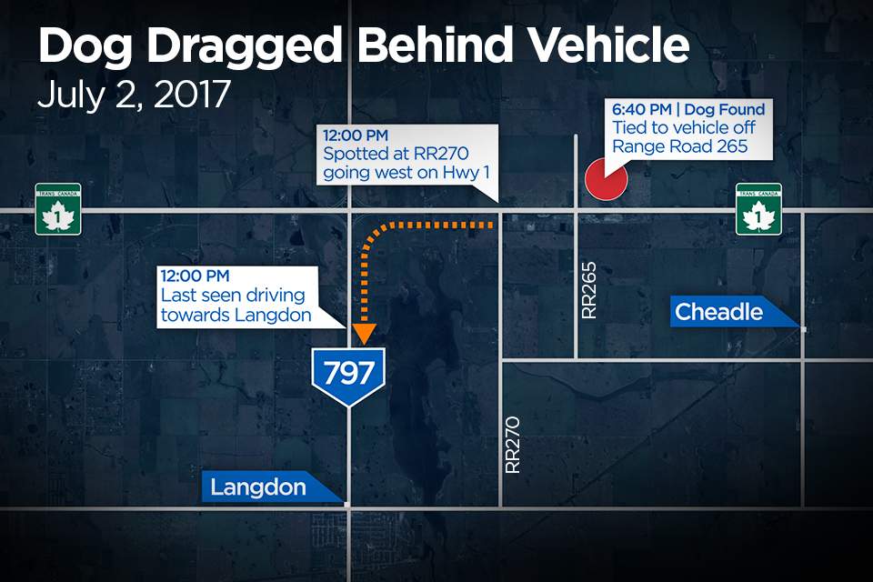 A dog had to be put down after being dragged behind a vehicle July 2, 2017.