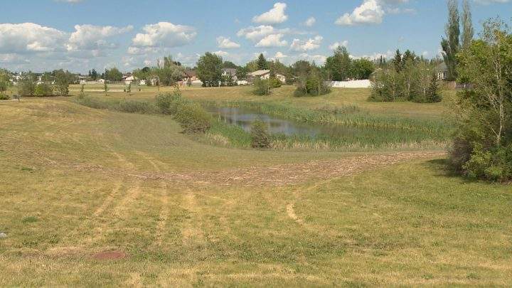 ‘This happens every year’: Saskatoon woman fed up with flood-prone street - image