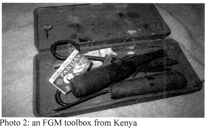 Female genital mutilation practitioners are travelling to Canada, border officers warned - image