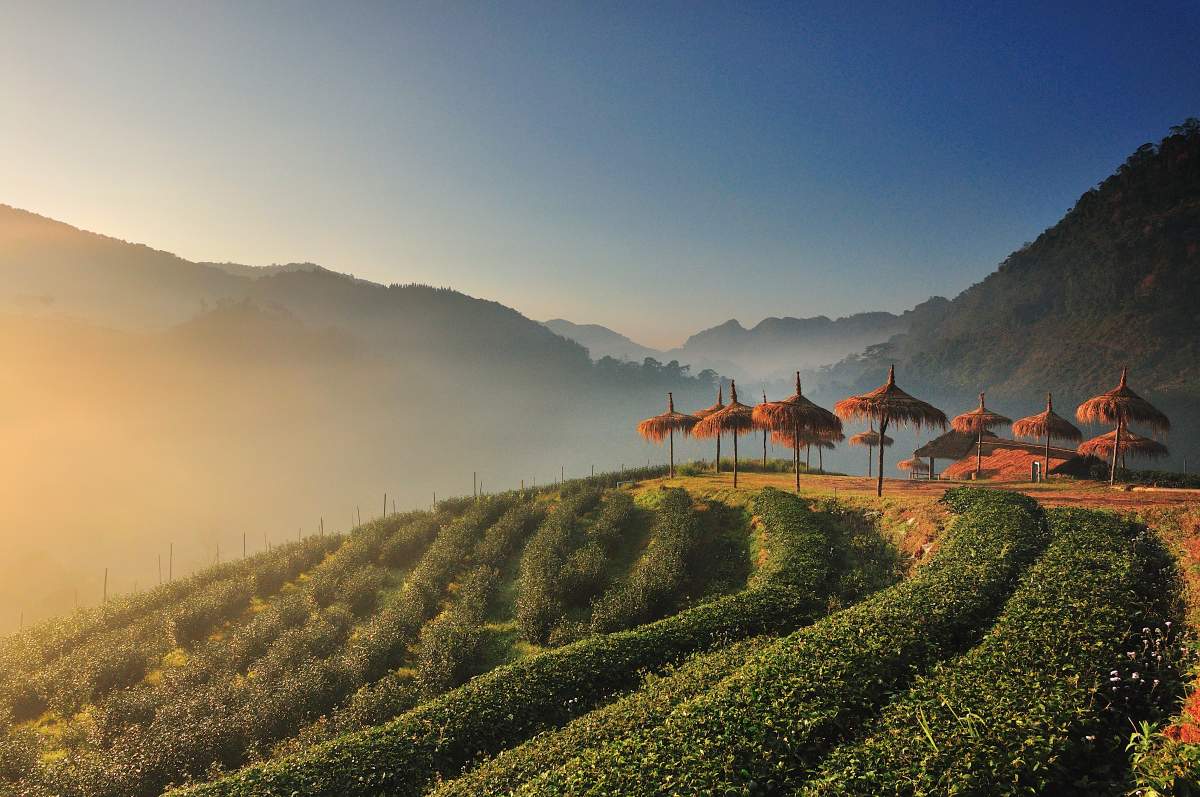 Chiang Mai, Thailand