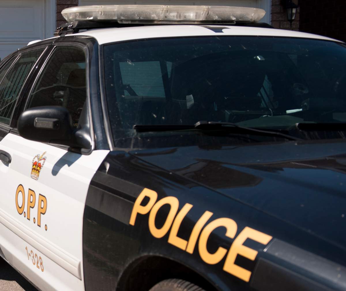 Over $230K of copper wire stolen from Wellington County property: OPP - image