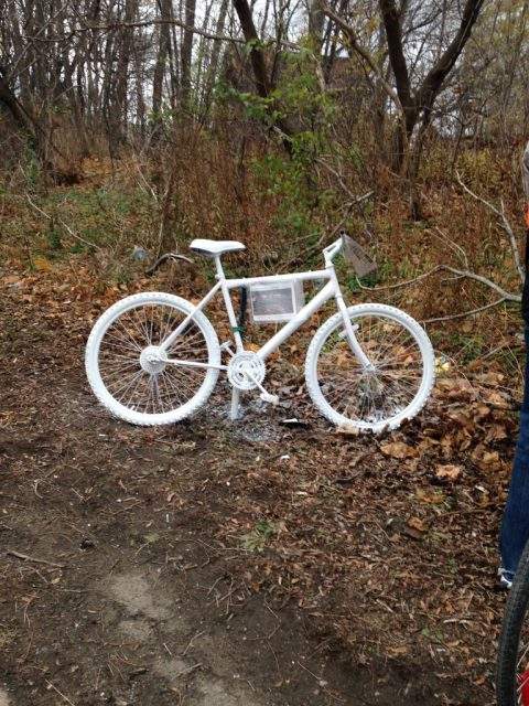 Man convicted of careless driving in death of Hamilton cyclist - image