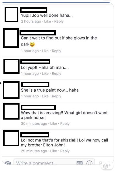 Comments responding to a horse painted pink in Likely, B.C.