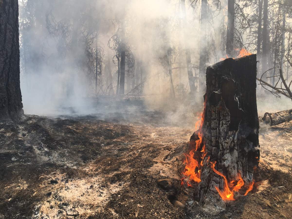 Photos from the Princeton-area wildfire.