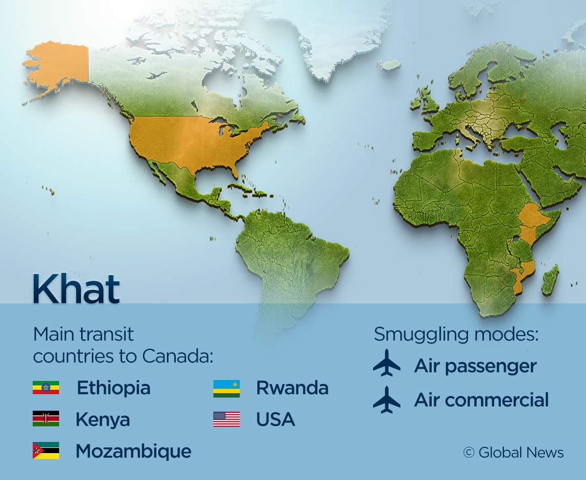 These 9 maps show where Canada’s illegal drugs are coming from - image