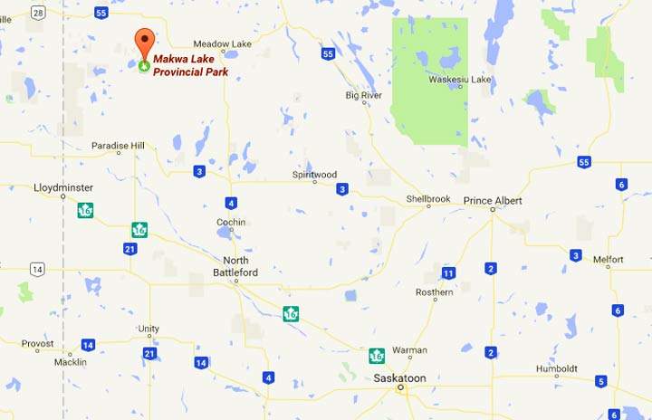 A dangerous animal advisory issued by the Ministry of Parks Culture and Sport for Makwa Lake Provincial Park and area.