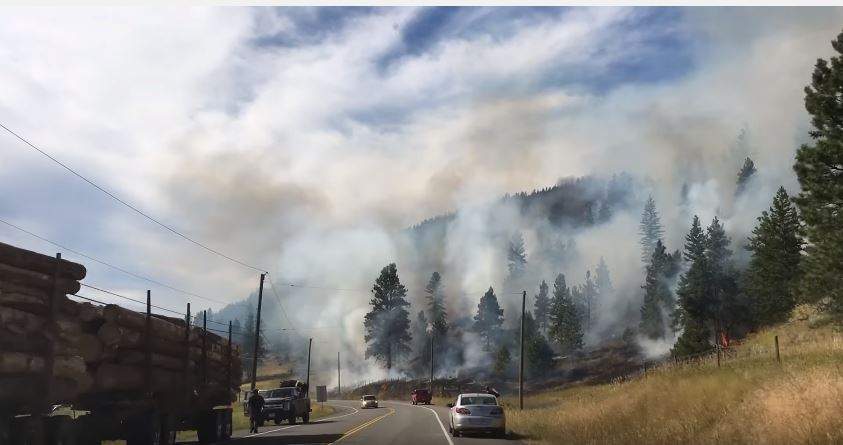 A wildfire is burning near Monte Lake, B.C.