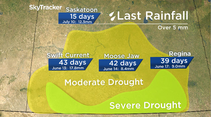 Drought conditions are being experienced across parts of southern Saskatchewan this summer with no significant rain in over 1 month in many areas.