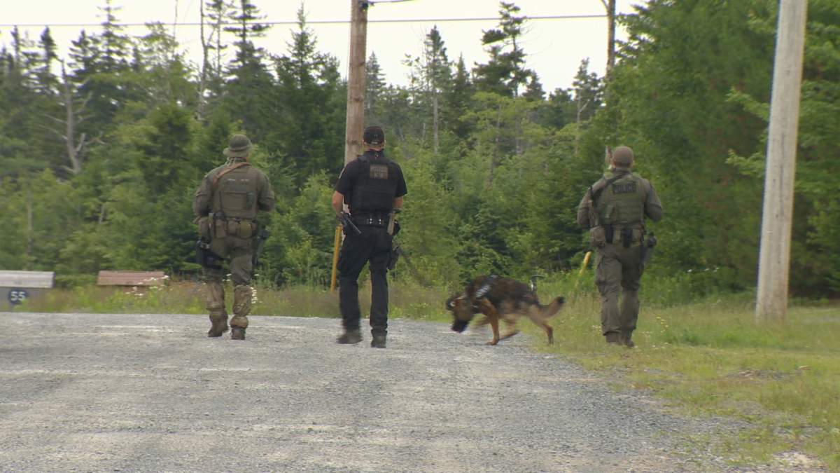 Police are investigating an armed home invasion in Porters Lake.