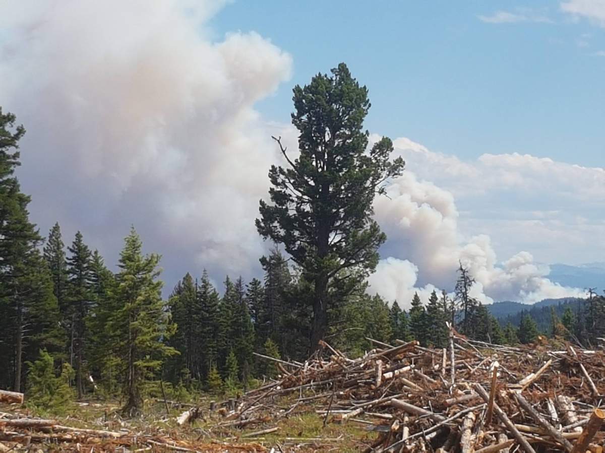 The fire burning near Princeton. Courtesy: Orlando Ekkert