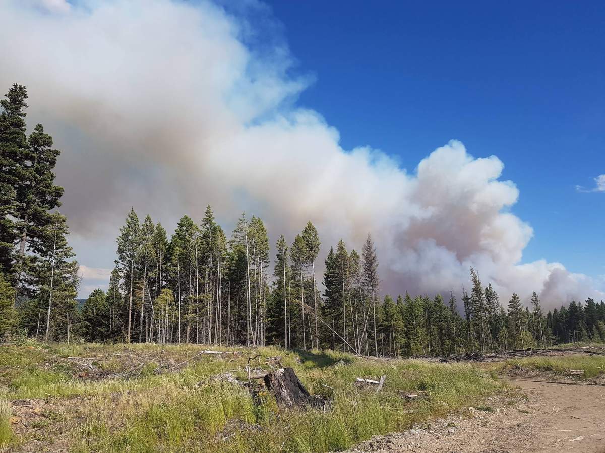 The fire burning near Princeton. Courtesy: Orlando Ekkert