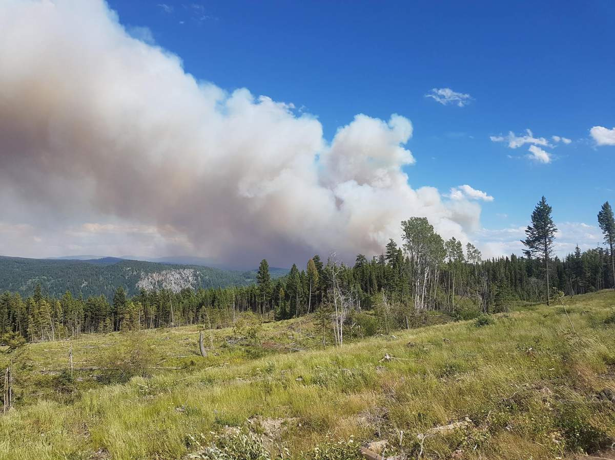 The fire burning near Princeton. Courtesy: Orlando Ekkert