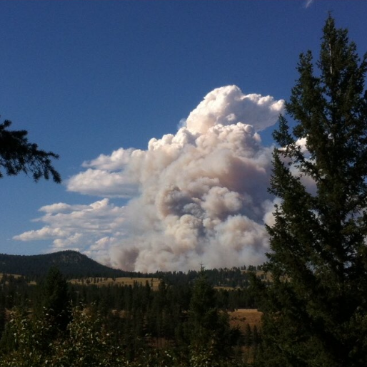 PHOTOS: Wildfires burning around B.C. - image