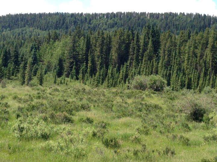 The Harold Creek Water Valley area