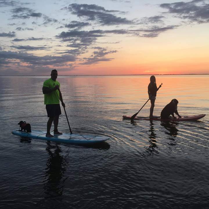 Bonnie Cross took this Aug. 16 Your Saskatchewan photo of paddleboarding with dogs at Jackfish Lake.