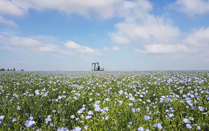This August 25 Your Saskatchewan photo was taken near Kindersley by David Kucher.