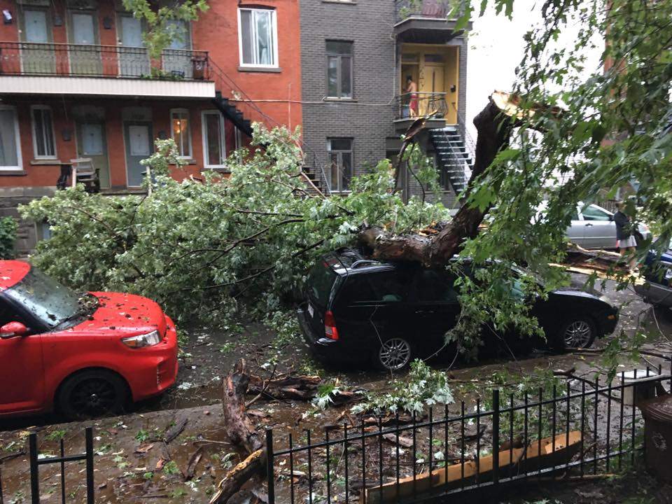 An intense thunder storm caused power outages and fallen trees in Saint-Henri, Tuesday, Aug. 22, 2017.