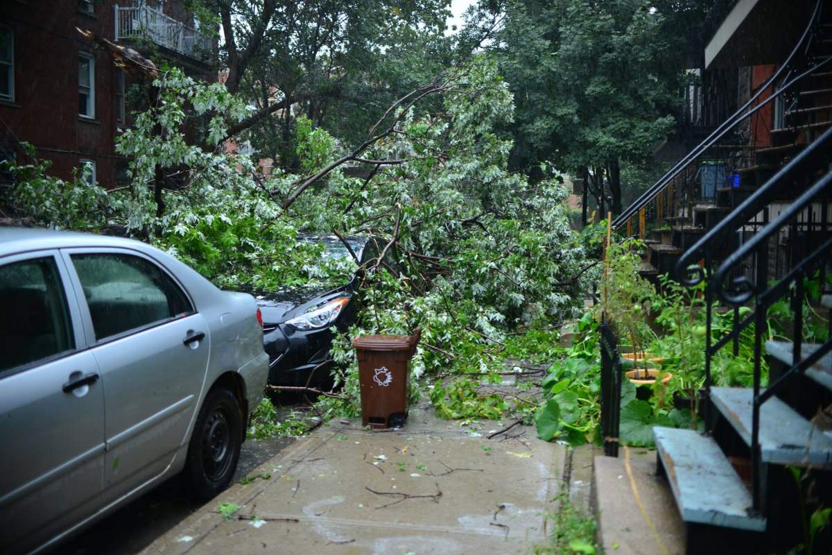 An intense thunder storm caused power outages and fallen trees in Saint-Henri, Tuesday, Aug. 22, 2017.