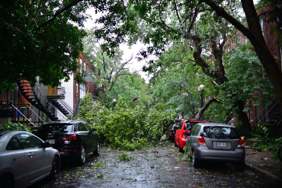 An intense thunder storm caused power outages and fallen trees in Saint-Henri, Tuesday, Aug. 22, 2017.