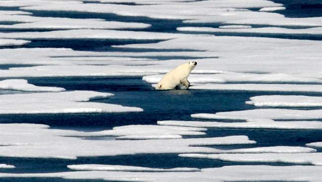  Industry experts, researchers and veterans of the Far North say there remain many obstacles to reaping the riches once blocked by the ice. Conservationists also oppose the large-scale extraction of Arctic resources, fearing that the fragile environment will be irreparably harmed. 