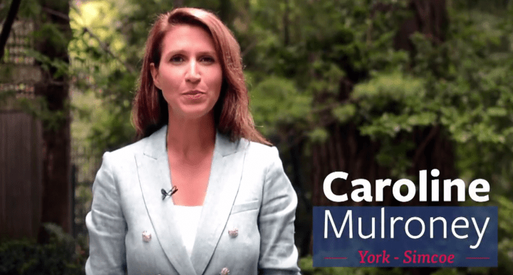Former prime minister Brian Mulroney's daughter is seeking a nomination to run for the Ontario Progressive party.