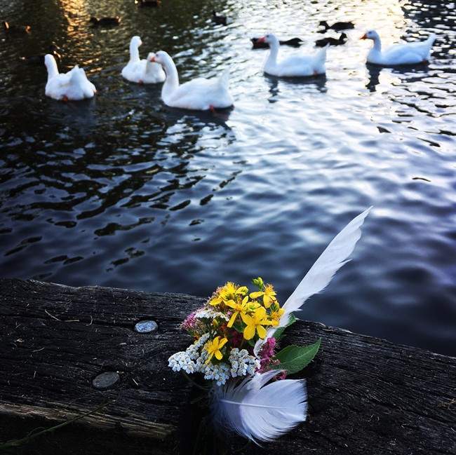 Geese are seen near a vigil for two recently killed geese in Dartmouth, N.S., in this recent handout photo. Two geese are dead after being hit by a vehicle at a crosswalk the popular birds use to access a pond at a park in Dartmouth, N.S. Police say a man was driving on Prince Albert Road during the rush hour Wednesday when he struck three of the geese, who were crossing over from the Elliott Street area to Sullivan's Pond. 