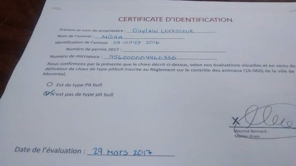 A document Levasseur says was given to him by the City of Montreal that states Misha is not a pit bull-type.