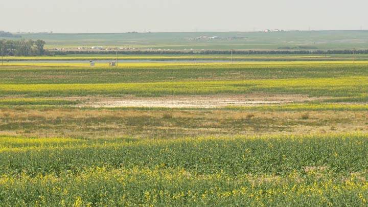 There were 59 calls to Saskatchewan's Farm Stress Line in July — compared to 16 the same time last year.