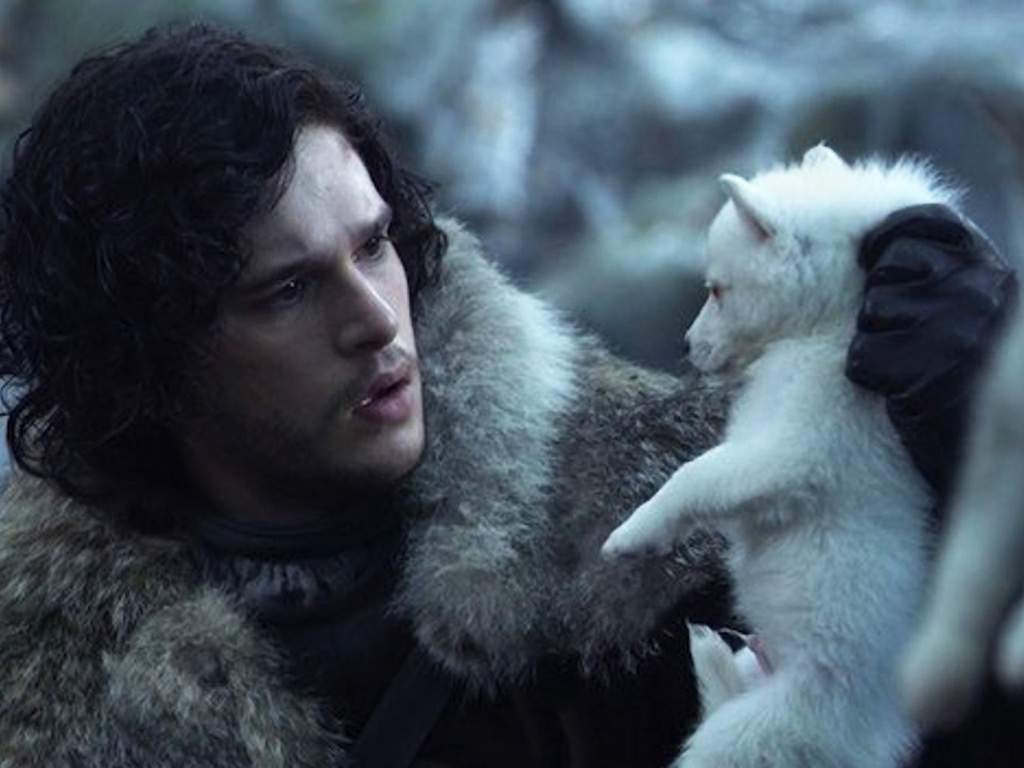Game of Thrones direwolves