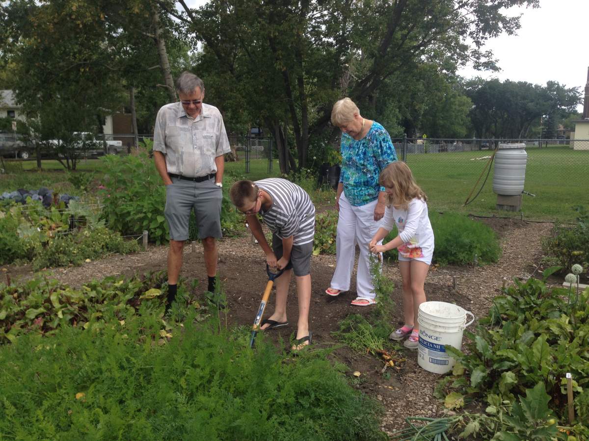 The Wrathall family digs up carrots to donate to Meals on Wheels.