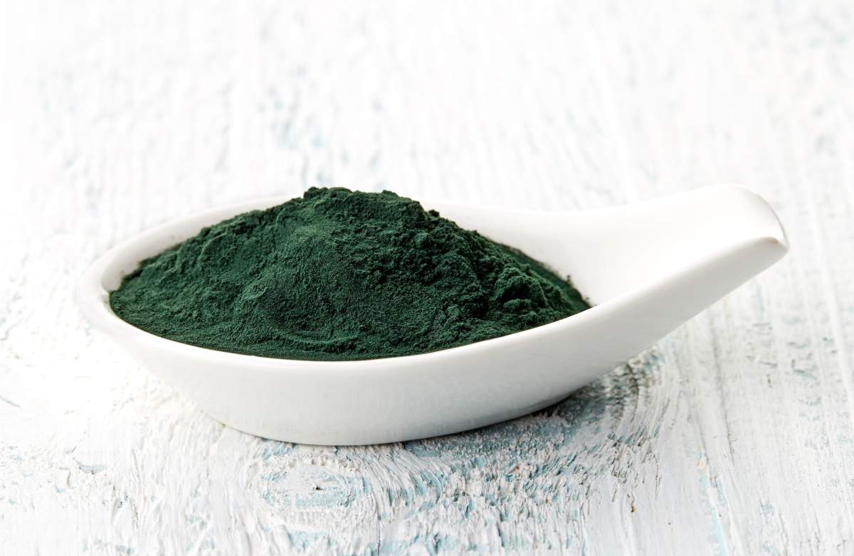 Chlorella